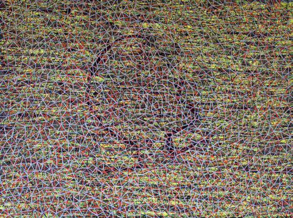 Multicolored abstract painting with a human face looking up behind a web of white lines with a detailed  background of mixed palette